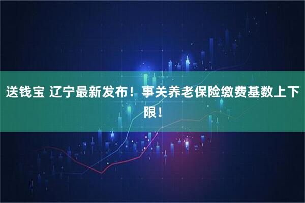 送钱宝 辽宁最新发布！事关养老保险缴费基数上下限！