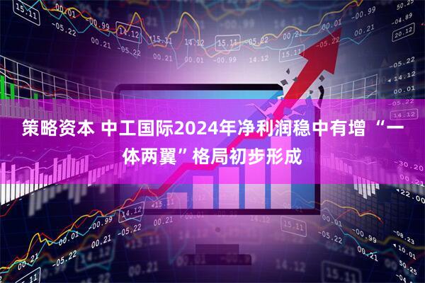 策略资本 中工国际2024年净利润稳中有增 “一体两翼”格局初步形成