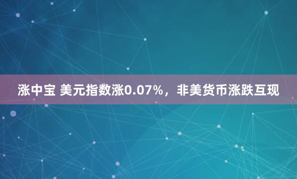涨中宝 美元指数涨0.07%，非美货币涨跌互现