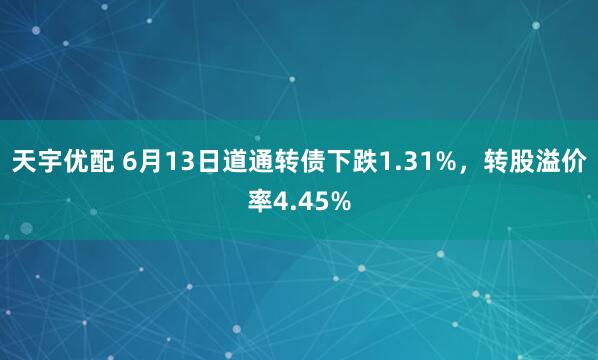 天宇优配 6月13日道通转债下跌1.31%，转股溢价率4.45%