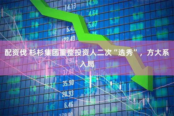 配资伐 杉杉集团重整投资人二次“选秀”，方大系入局