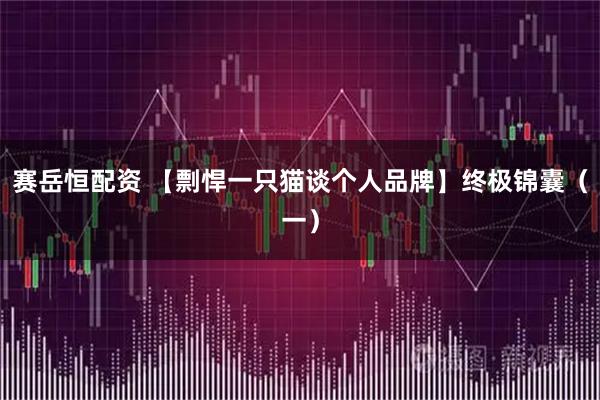 赛岳恒配资 【剽悍一只猫谈个人品牌】终极锦囊（一）