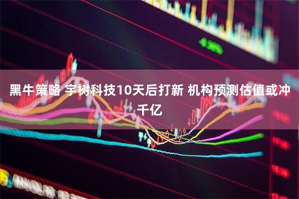 黑牛策略 宇树科技10天后打新 机构预测估值或冲千亿